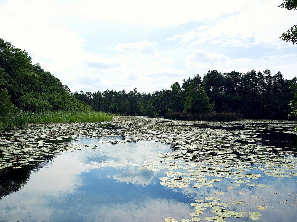 Domek Letniskowy Grazyna Vila Kopalino Exterior foto